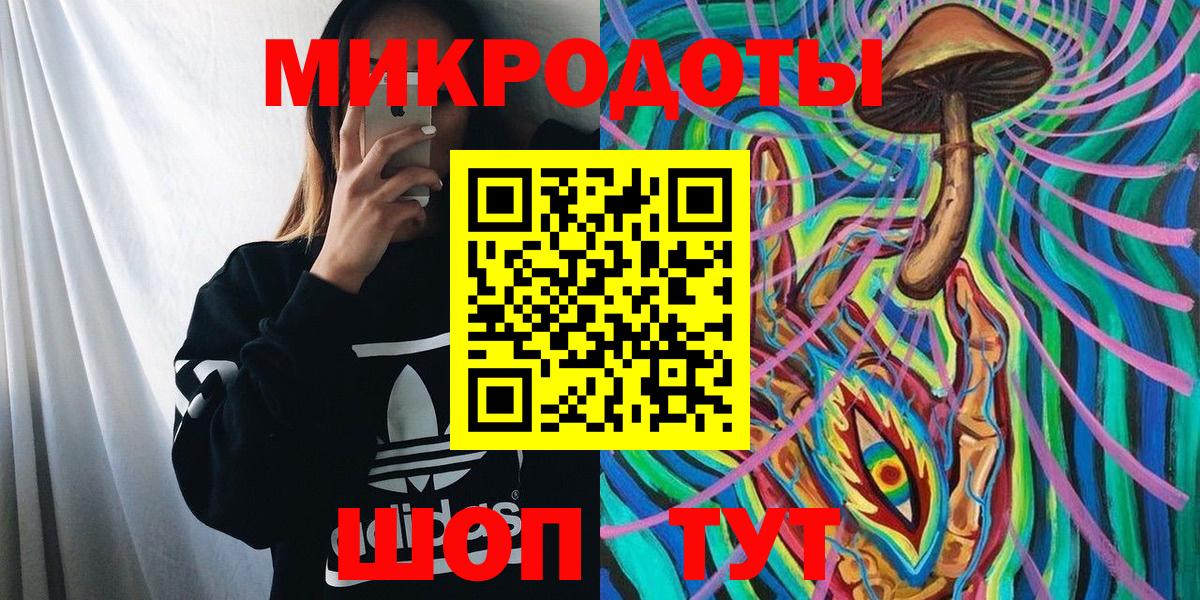 Псилоцибиновые грибы Psilocybine cubensis Усинск