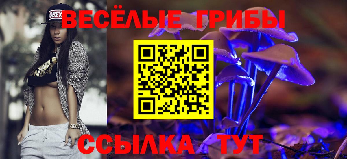 Усинск  Псилоцибиновые грибы мицелий  Вход с VPN 