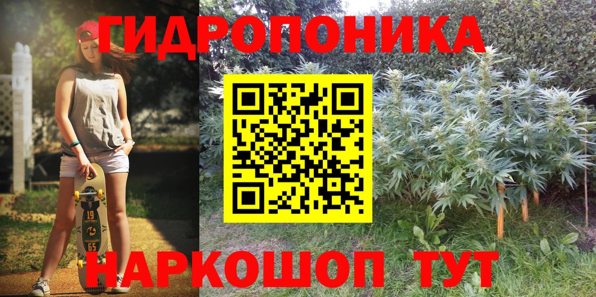 Усинск  Марихуана планчик  Вход с VPN  Марихуана сатива  Каннабис планчик 